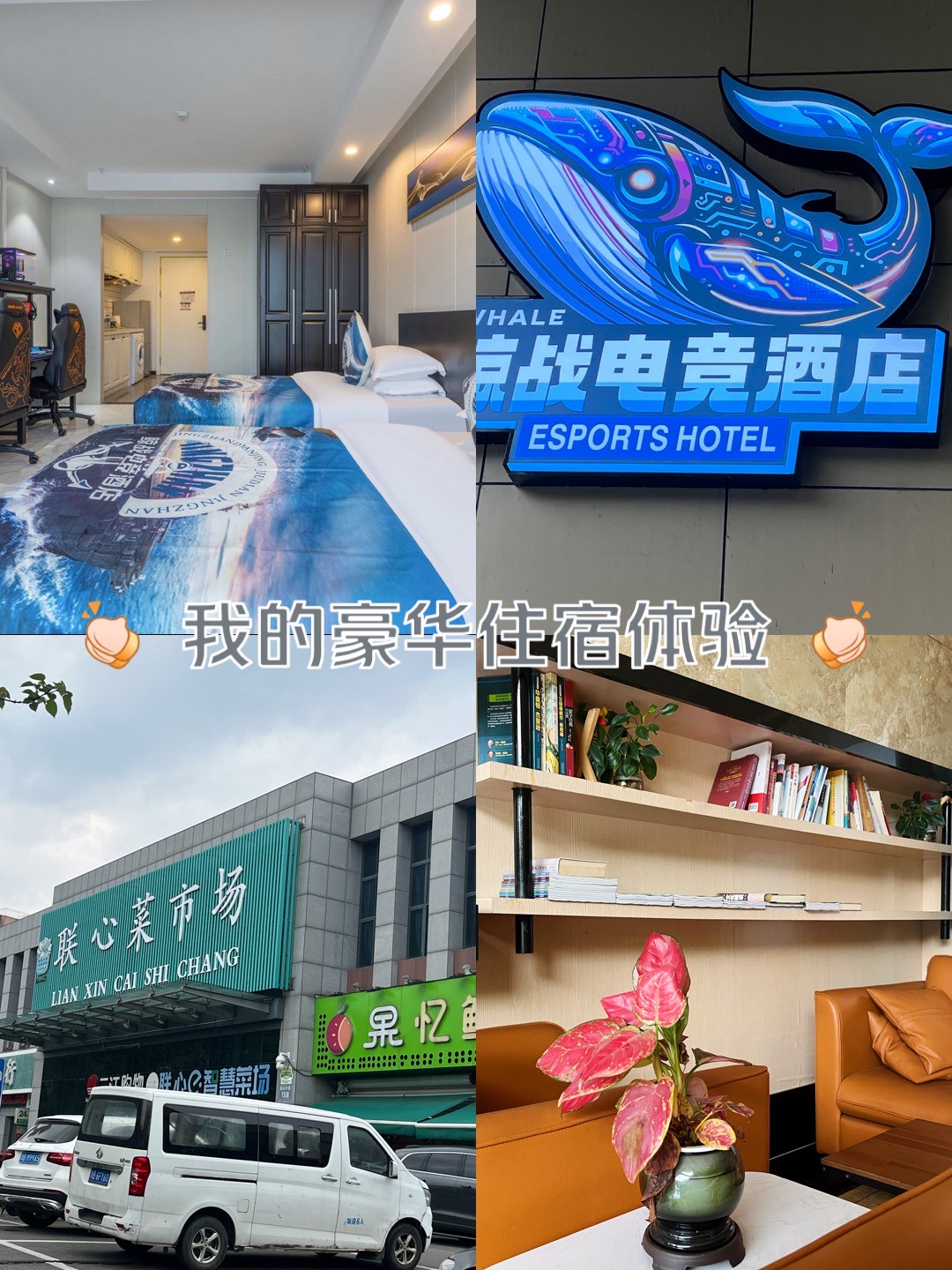 爱游戏体育官方网站-关于电竞行业周边产业：电竞酒店、电竞外设与电竞教育的信息