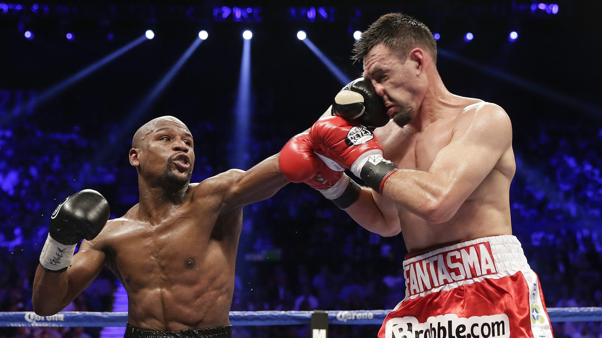 最受欢迎的赛道top10榜单出炉，最火赛道